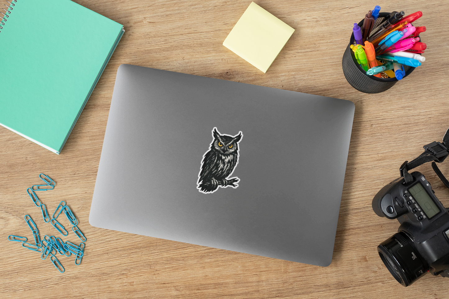 Owl Sticker