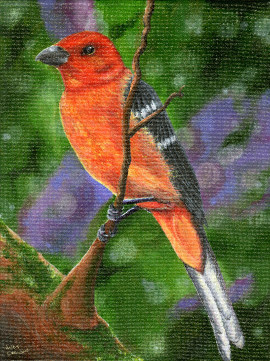 Painting of a vibrant orange and black bird perched on a branch with a colorful, blurred background.