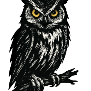Owl Sticker