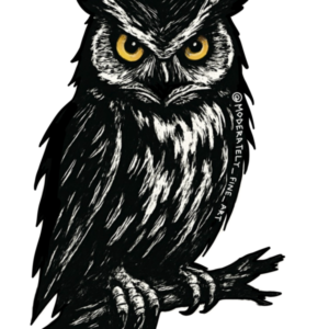 Owl Sticker