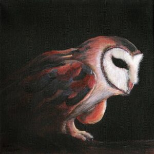 Hilda, 8x8 acrylic painting by Andy Carlson: a barn owl in red and rust tones leaning forward mid-step against a black background