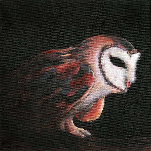 Hilda, 8x8 acrylic painting by Andy Carlson: a barn owl in red and rust tones leaning forward mid-step against a black background