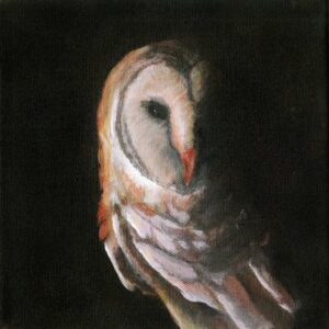 Oliver, 8x8 acrylic painting by Andy Carlson: a barn owl half in shadow, its pale heart-shaped face emerging from a black background
